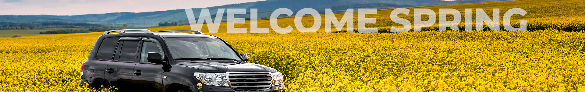 Welcome Spring! | Adams Autoworx